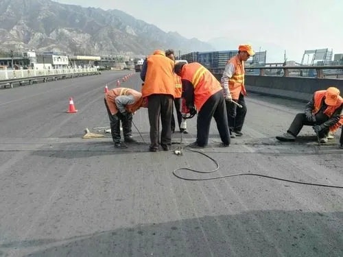 翔安道路桥梁病害治理